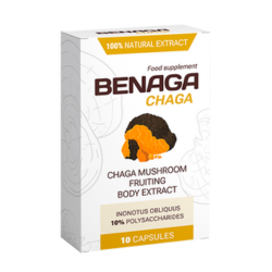 Benaga Chaga